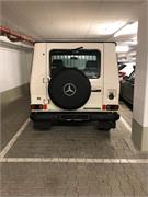 IMG-20191107-WA0005